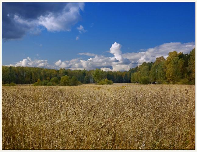 Осень... Странная осень