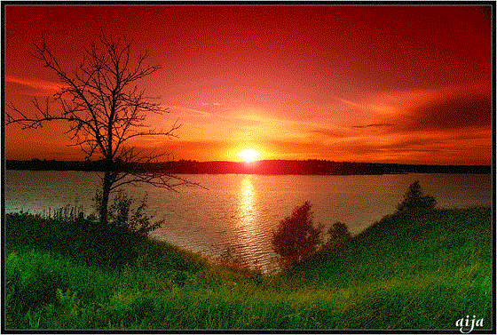 Розовый рассвет