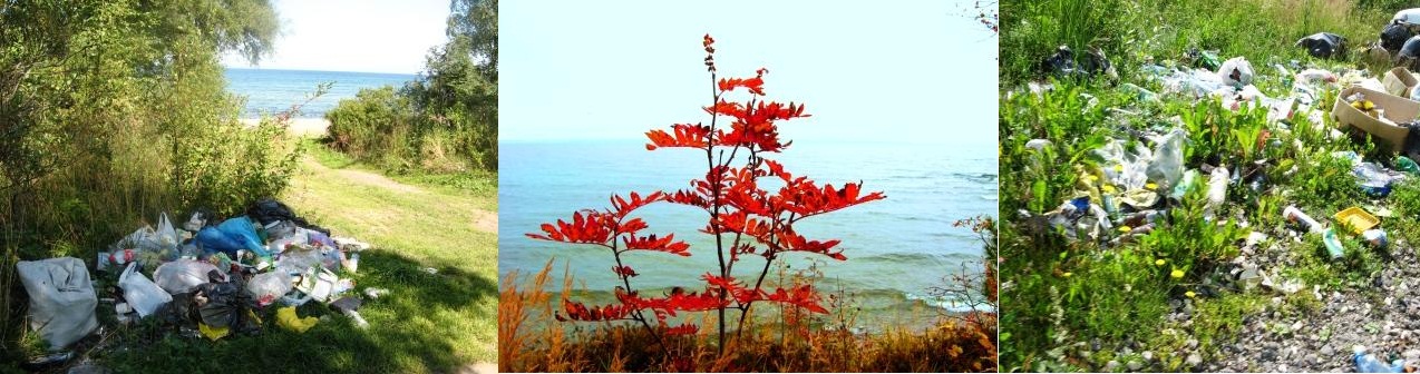 Подлинник - День Байкала - грустный праздник