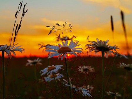 Я счастлив тем, что здесь родился...