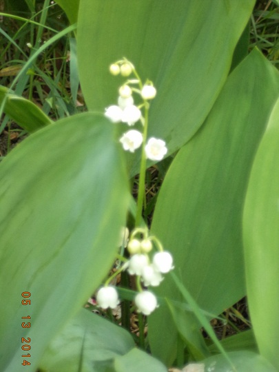 ПроДолЖ вот зары прэЖне!