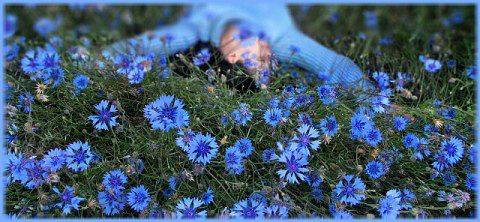 Ночью упало небо на землю