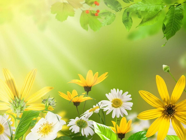 О мамочке моей