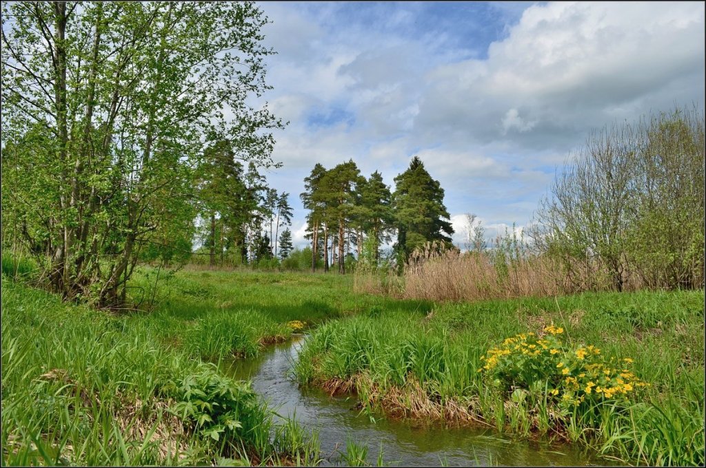 Жить по плану