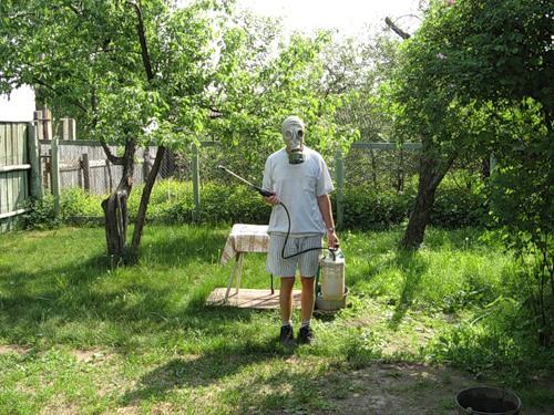 Патриотка сада