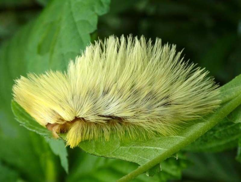 За призрачной прозрачностью