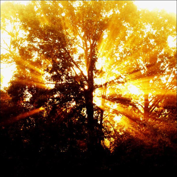 Не позволяй...