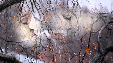 Сквозь шум дождя...