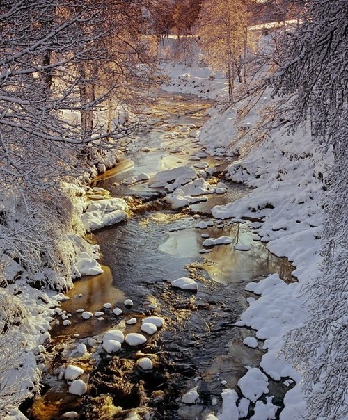 И днем, и ночью