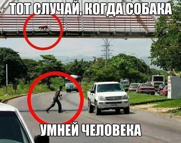 Доказательство ума...