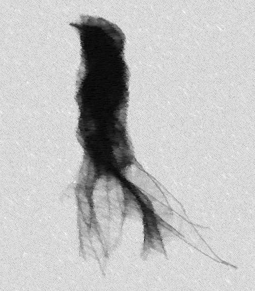 Женщина в черном