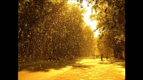 Вопреки законам лета...