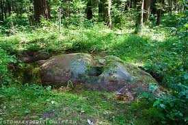 Камень и дерево Притча