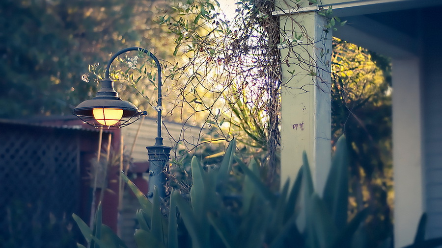 Когда плывут по небу птичьи стаи...