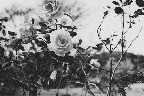 Если не знаете, о чём написать, - пишите о любви