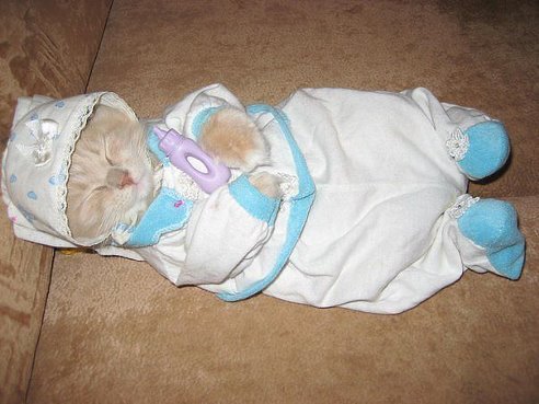 Наивные вопросы у ребёнка