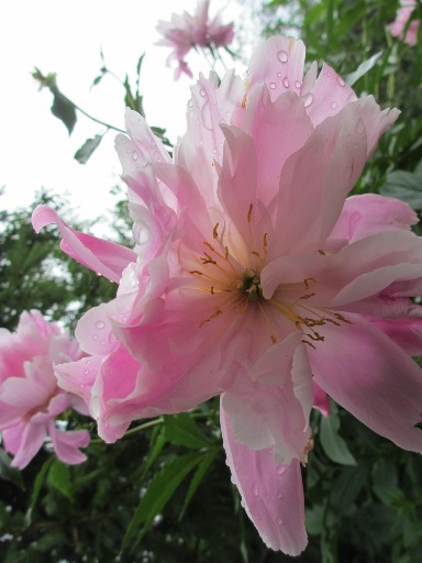 Слов не надо довольно взгляда