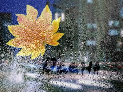 Осень для души моей временный причал...