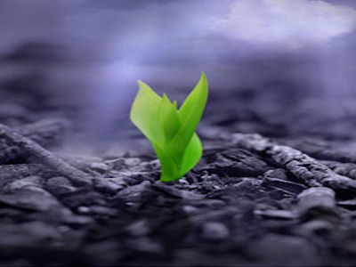 Люблю твои глаза и душу