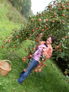 Взаимосвязь