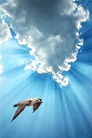 Сердцем принимать