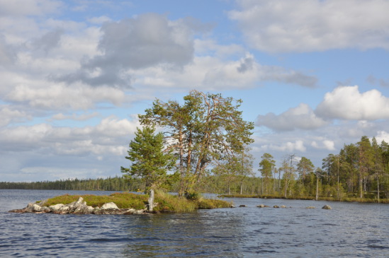 Переживания за карельскую недвижимость