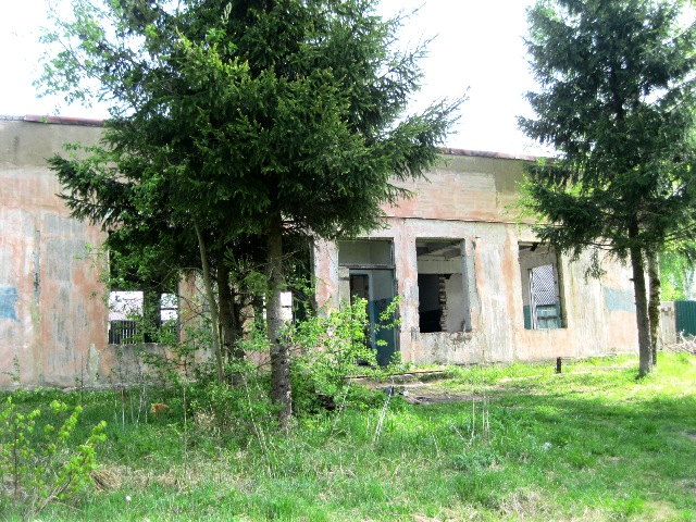 Когда деревья были маленькими