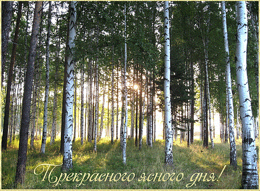 Ясность