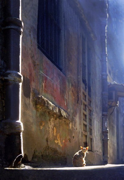 Голосование по 1 туру 7 самураев