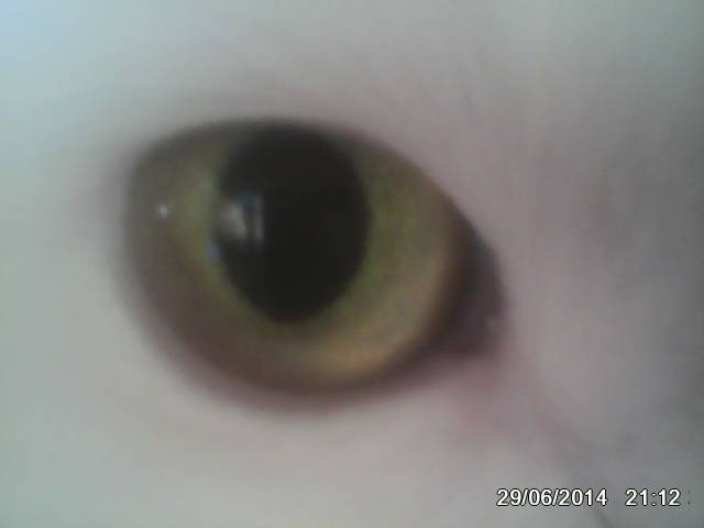 Он где-то здесь...