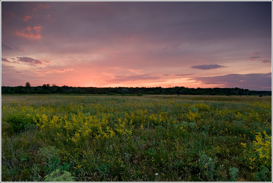 Free Images : landscape, tree, nature, grass, field, meadow, prairie, sunlight,