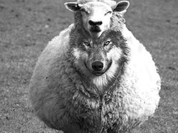 Я имею право...