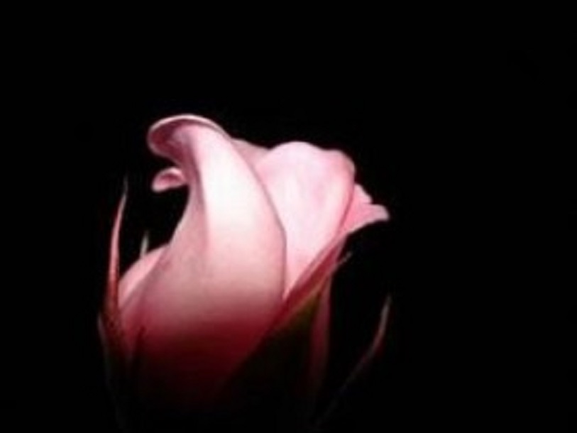 Обольщение