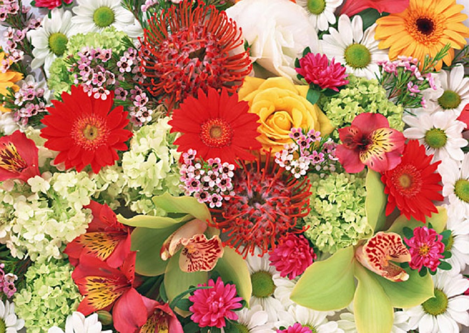 Очарование чтения