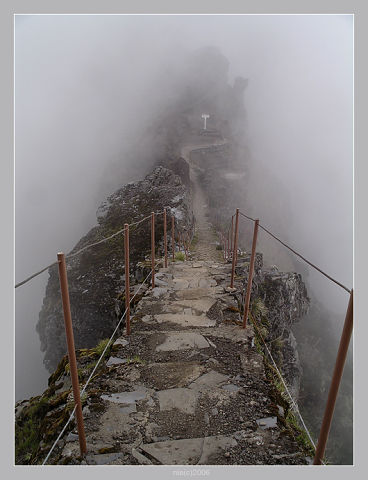 Друзья уходят по-английски