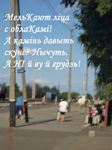 В Белоруси аж 110 ферм