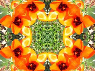 Стихополотно. Калейдоскоп