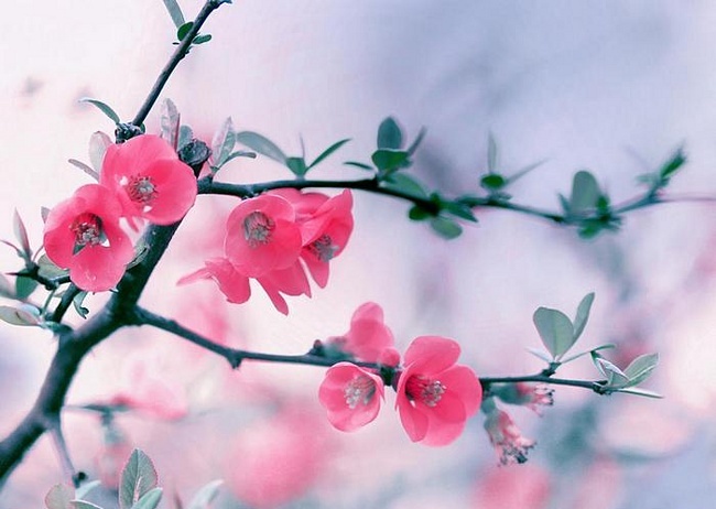 давайте говорить