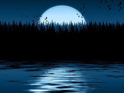 В шоколадный бархат камыша...