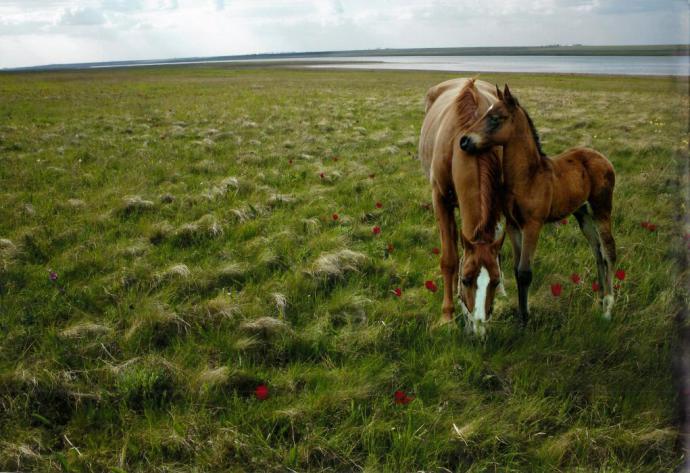 Родина - она прекрасна