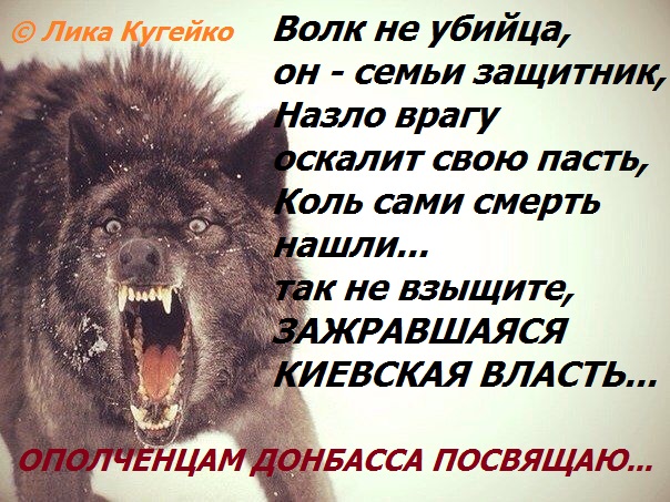 Родному лесу я отдам свой долг-ополченцам Донбасса (Лика Кугейко ...