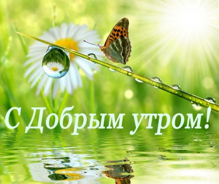 9. Утро на земле