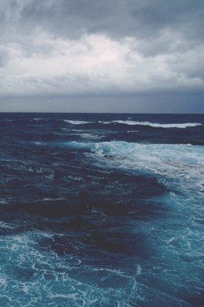 Снишься уже 3 года...