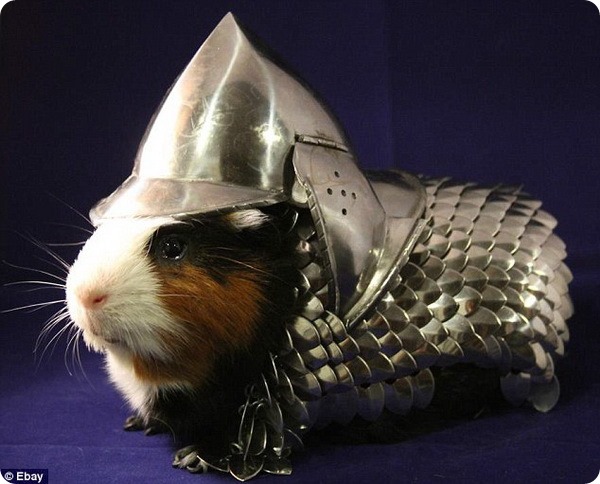 Обсуждение 3 марафона хокку