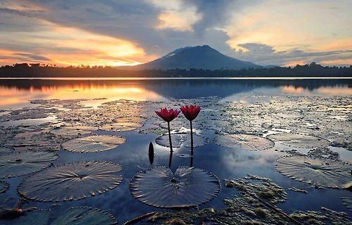 Каждый день, каждый час, каждый миг