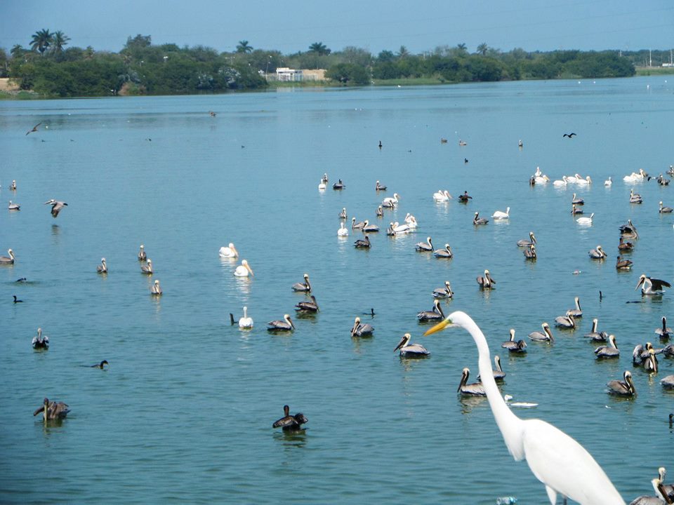 Wer in seinem Herzen gluecklich ist