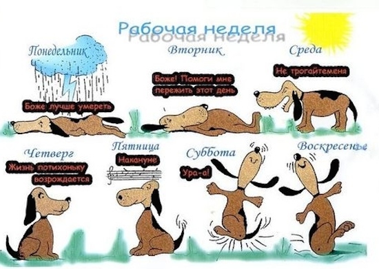 Трудовая неделя