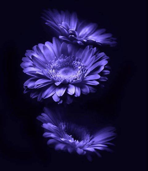 Я для тебя так мало значу