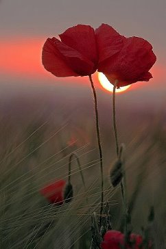 Волшебная свирель играла...