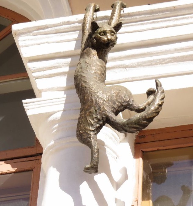 Прыгнул вверх